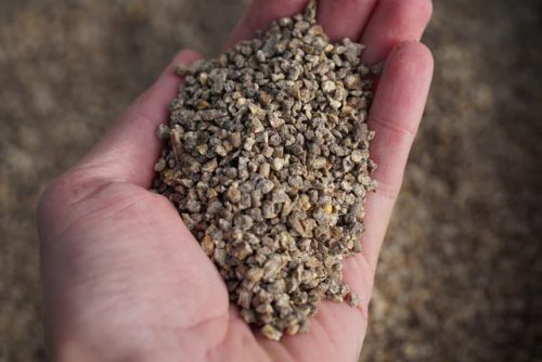 BioGyep Prémium 800 (félév)